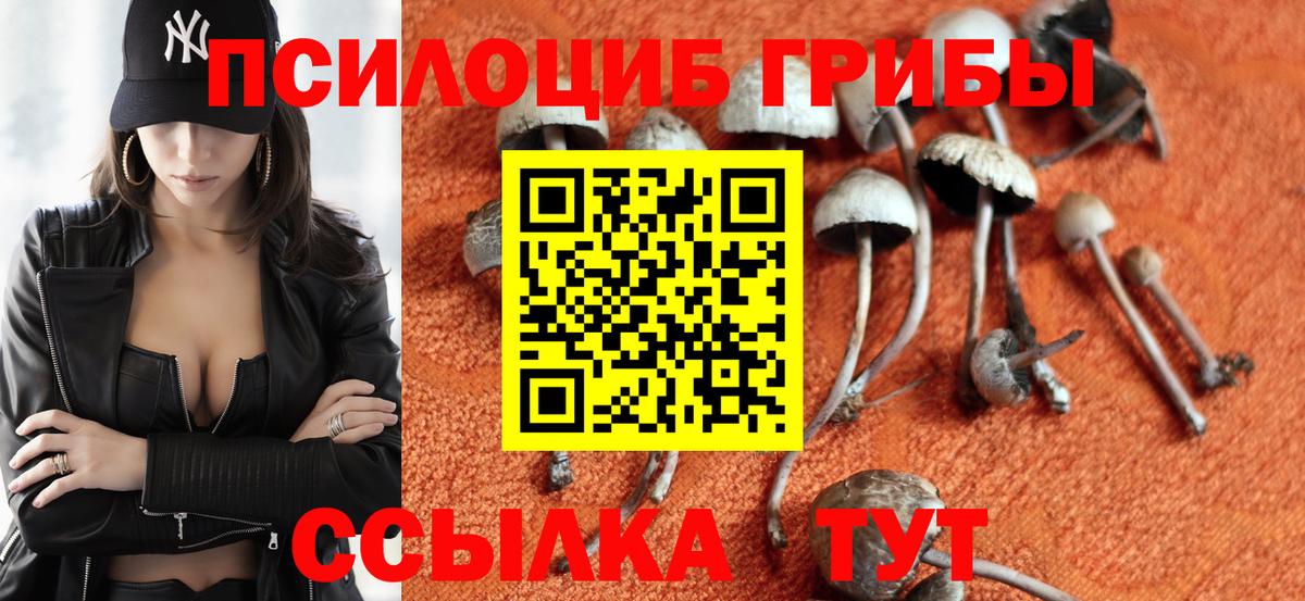 Сарапул  Псилоцибиновые грибы прущие грибы  Вход с VPN 